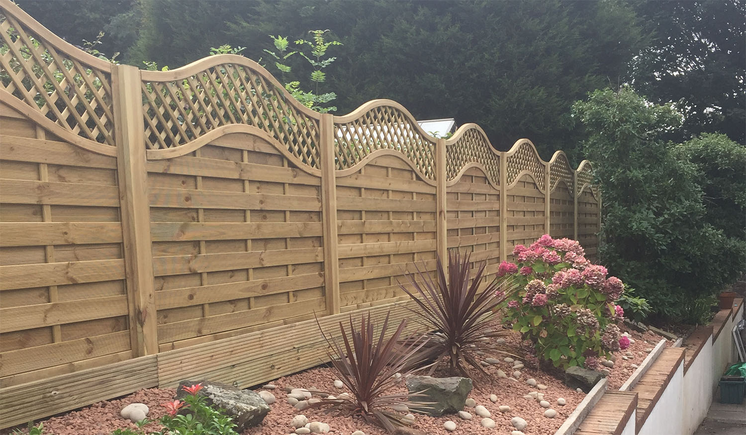 A wooden garden fence featuring a wave pattern and lattice details, expertly installed by a commercial fencing contractor, separates a garden of pink hydrangeas and spiky plants. The ground is dressed with reddish gravel, set against the lush backdrop of a leafy green tree.